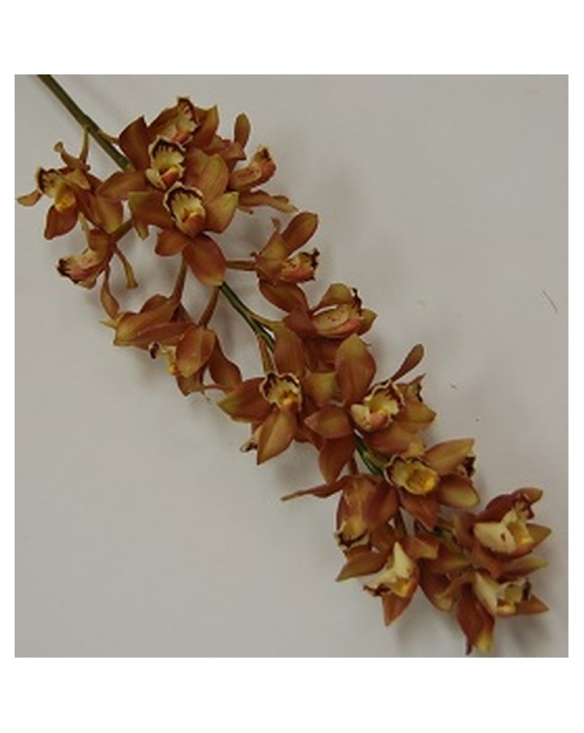 Brown Plastic Cymbidium Orchid Stem Artificial Trees Plants Artificial Flowers Latex Real Touch Wedding Bouquets Flowers Melbourne Blue Singapore Orchids Roses Lily Silk Flowers