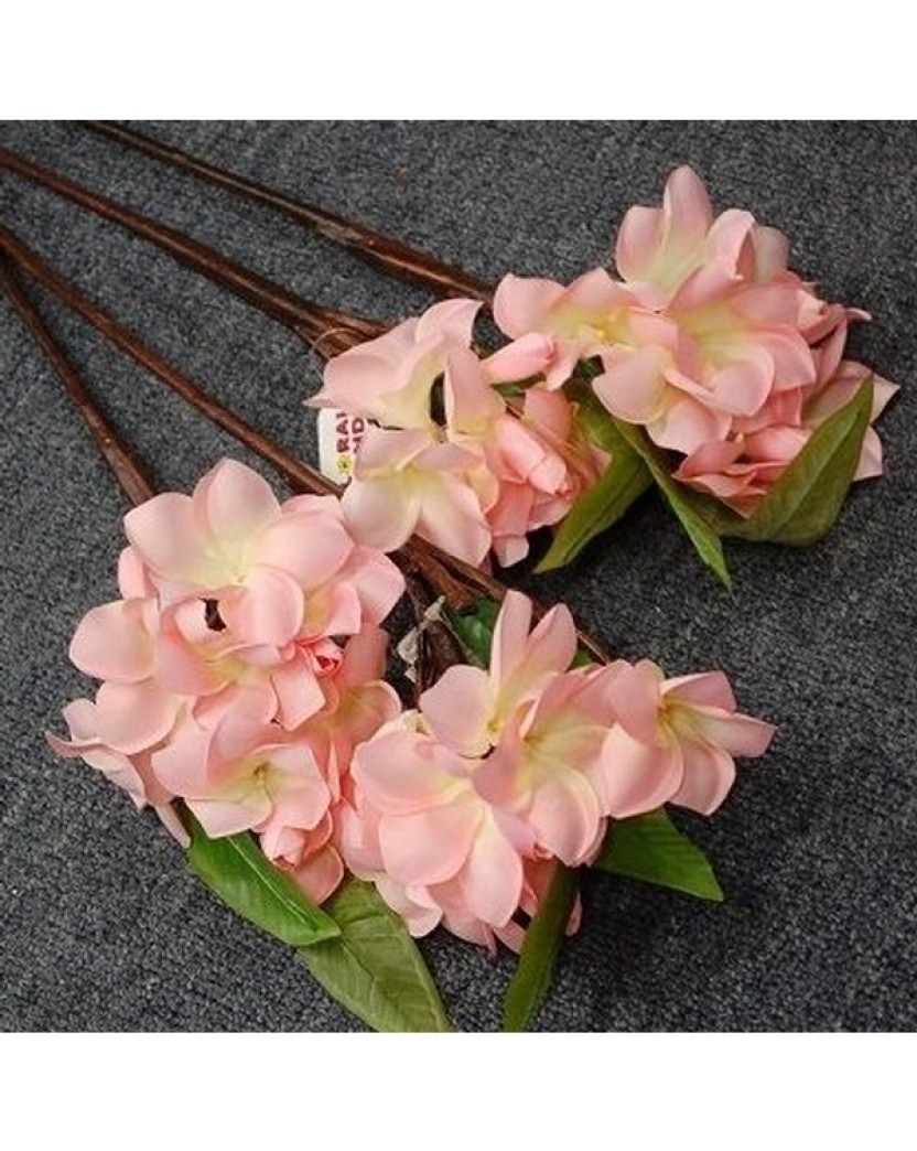 Silk Baby Light Pink Frangipani Stem 50cm long