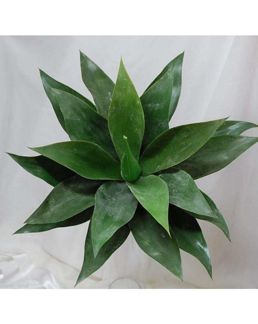 Artificial Large Green Agave Succulent Plant Cactus Echeveria 42cm wide x 40cm high