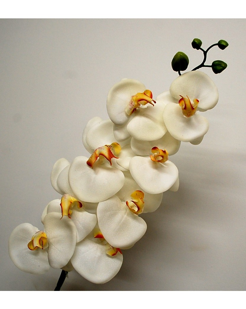 Latex Cream Real Touch Phalaenopsis Orchid