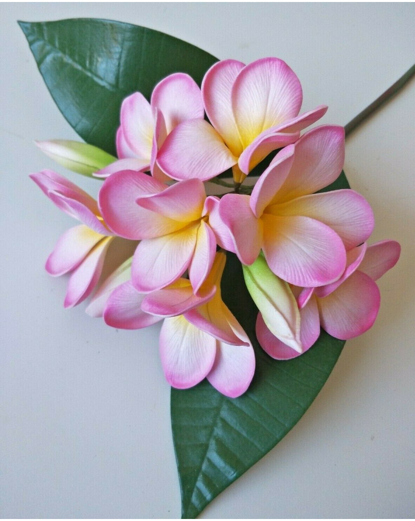 LATEX REAL TOUCH FRANGIPANI PLUMERIA FLOWER STEM TROPICAL PINK FLOWERS 60CM