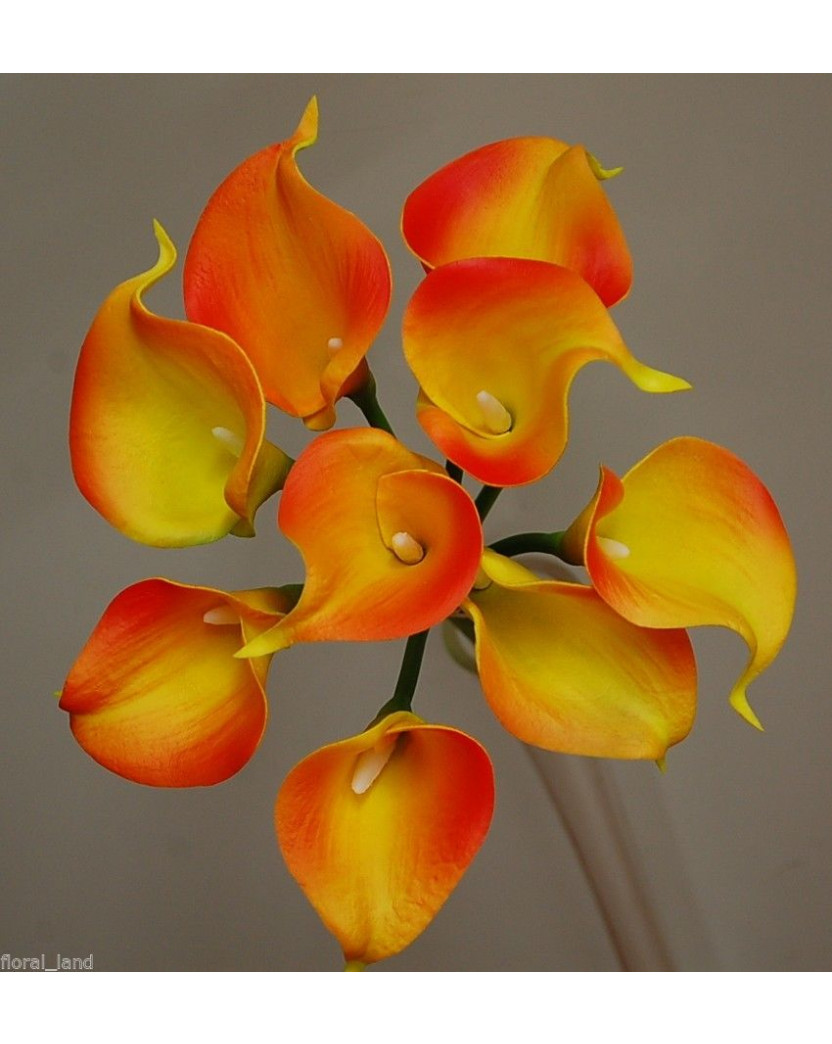 Latex Real Touch Orange Yellow Calla lily Bunch 9 heads 