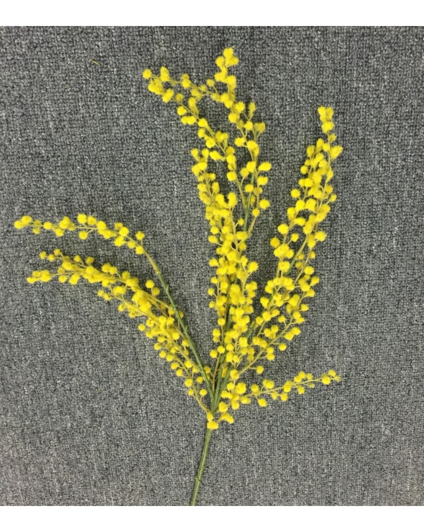 Silk Yellow Wattle Mimosa Stem Artificial Trees & Plants, Artificial Flowers, Latex Real Touch