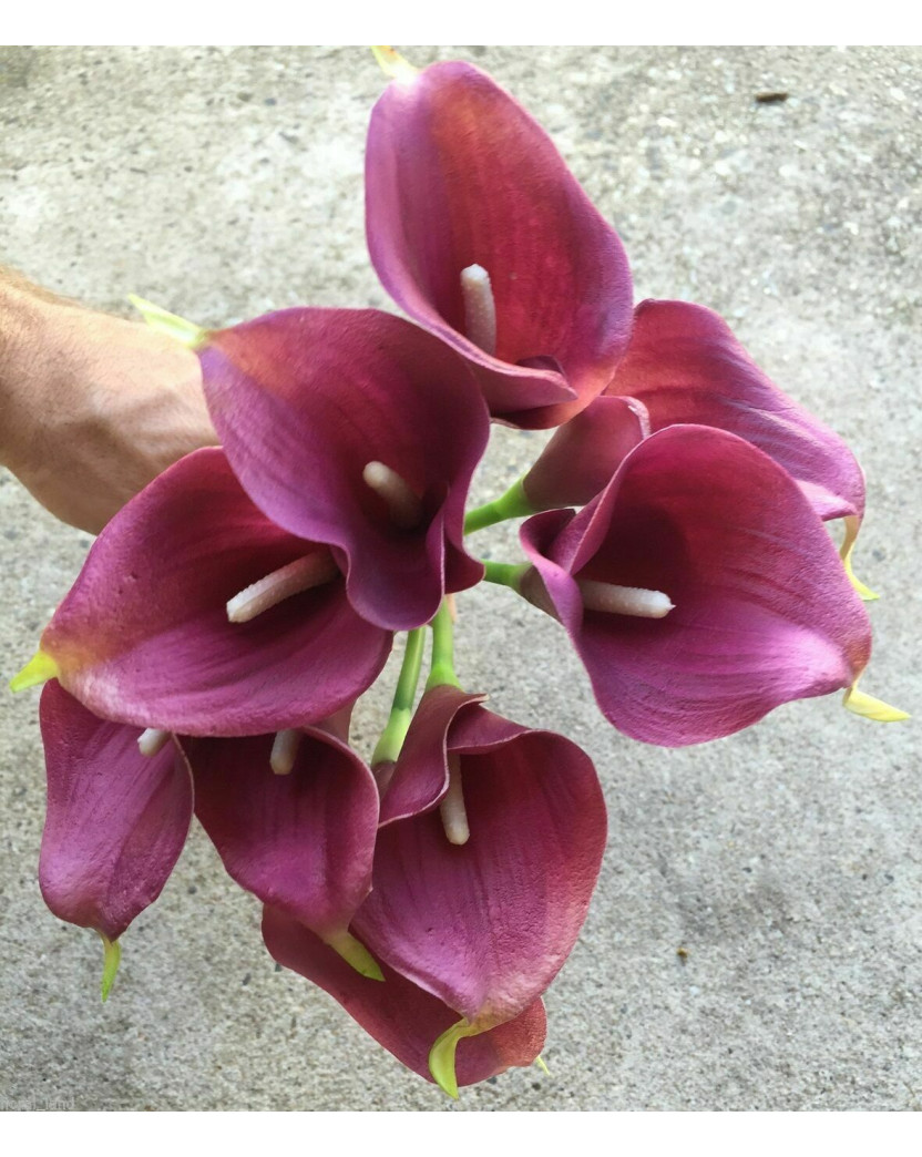 Latex Real Touch Aubergine Calla lily Bunch 9 heads 