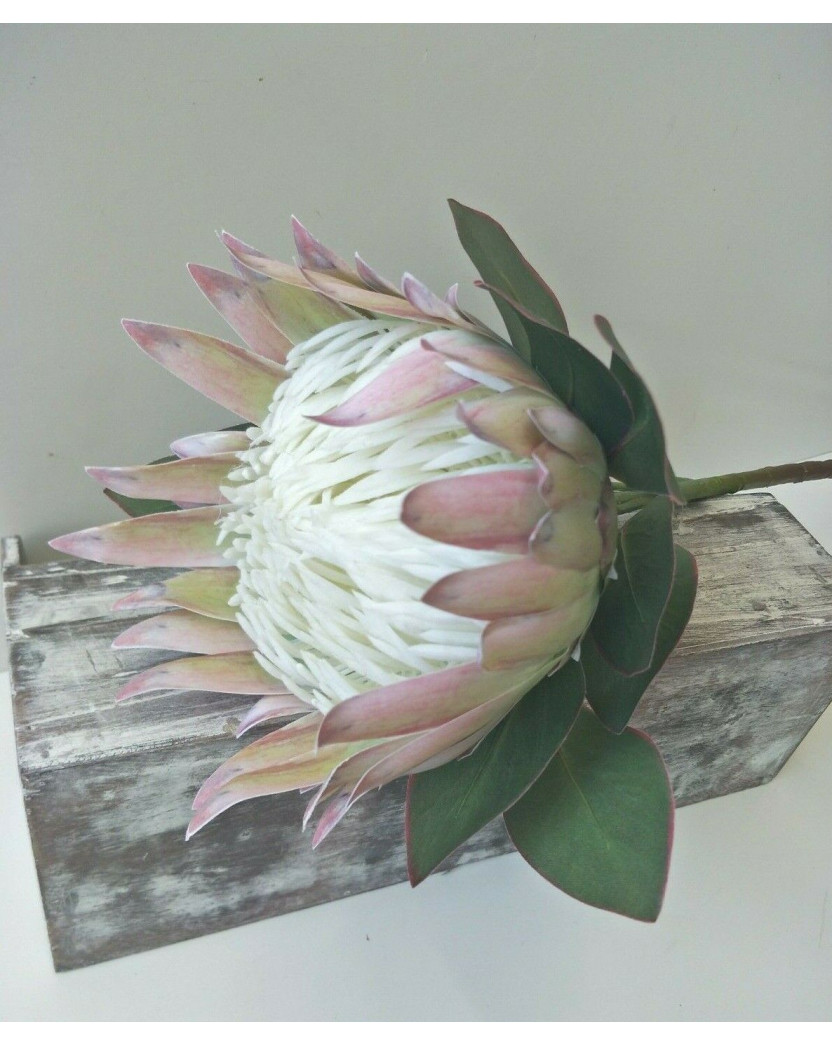 AUSTRALIAN NATIVE FLOWER LATEX BLUSH PINK KING PROTEA FLOWERS WEDDING FAKE STEM