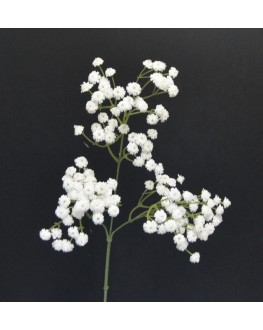 LATEX WHITE PLASTIC GYP SPRAY STEM BABY BREATH GYPSOPHILA