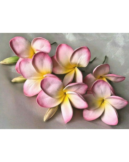 6 x LATEX REAL TOUCH FRANGIPANI PLUMERIA FLOWER HEADS PINK FLOWERS