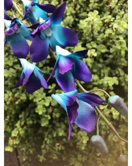 1 x Silk Singapore Orchid Stem - Blue 