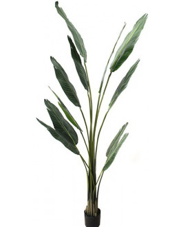 Artificial Fake Green Travellers Palm 180cm High