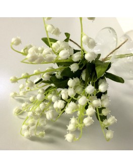 Lily of the valley White